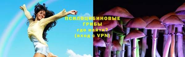 герыч Заречный