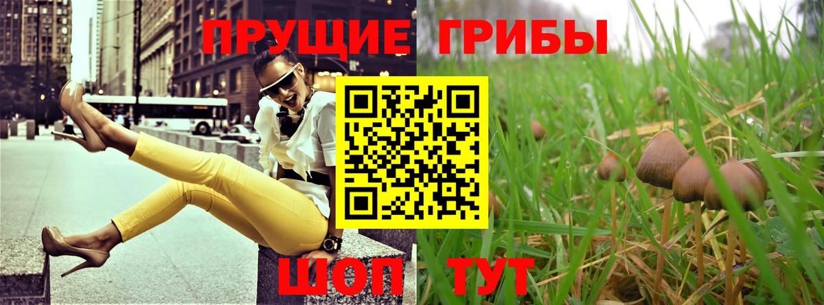 Галлюциногенные грибы прущие грибы  Вход с VPN  Раменское  Псилоцибиновые грибы Magic Shrooms 