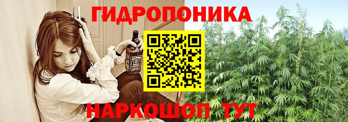 Раменское  Бошки марихуана планчик  Вход с VPN  Бошки Шишки Bruce Banner  Марихуана планчик 